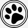 pet friendly